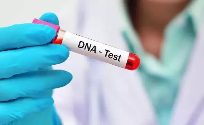 సరదా కోసం కొడుకుకు డీఎన్ఎ టెస్టు.. ఊహించని షాక్..!