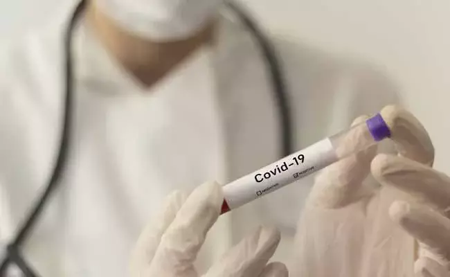 TS Corona Cases: కొత్తగా 338 కేసులు.. ఒకరు మృతి