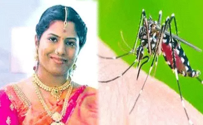 వణికిస్తున్న విషజ్వరాలు.. డెంగ్యూతో యువ డాక్టర్ మృతి వణికిస్తున్న విషజ్వరాలు.. డెంగ్యూతో యువ డాక్టర్ మృతి