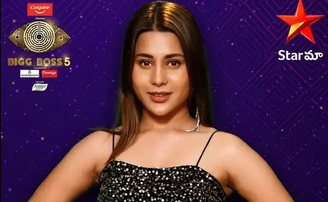 Bigg Boss: బిగ్‌బాస్ లొల్లి: క్యాట్ మమ్మీ అంటే డాగ్ డాడీ అంటుందా అంటూ..