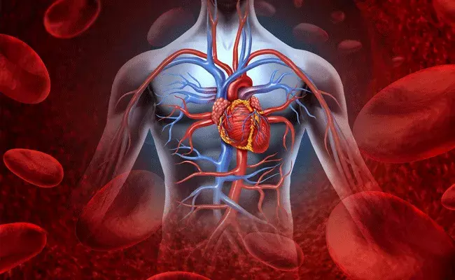 గుండెకు మేలు చేసే కొలెస్ట్రాల్.. ఈ ఆహార పదార్థాలతో.. గుండెకు మేలు చేసే కొలెస్ట్రాల్.. ఈ ఆహార పదార్థాలతో..