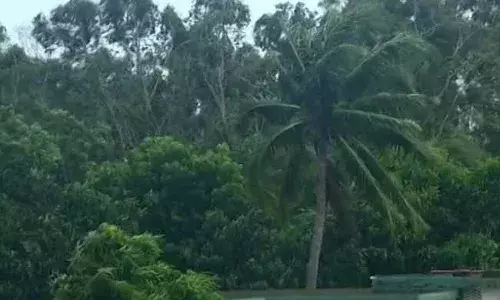 Gulab cyclone : ఉత్తరాంధ్రను వణికించిన గులాబ్ తుఫాన్ Gulab cyclone : ఉత్తరాంధ్రను వణికించిన గులాబ్ తుఫాన్