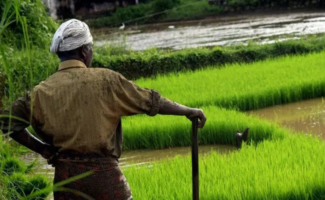Uttar Pradesh: 65 ఏళ్ల వయసులో రూ. 17 లక్షల ఆదాయం.. Uttar Pradesh: 65 ఏళ్ల వయసులో రూ. 17 లక్షల ఆదాయం..