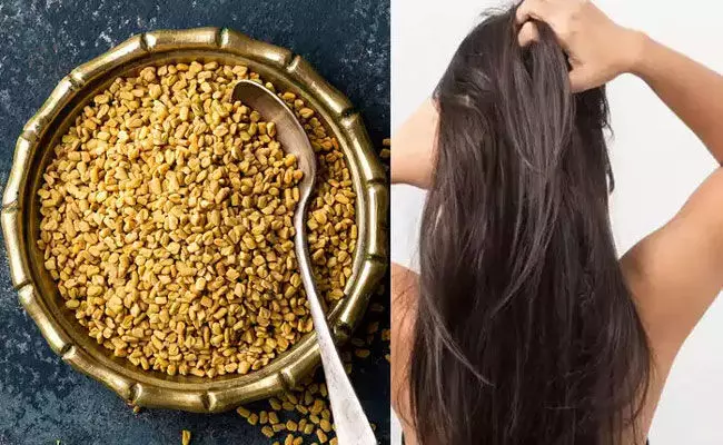 Hair Fall Tips In Telugu: జుట్టు రాలడం ఆపడానికి ఇంట్లోనే హెయిర్ ప్యాక్ Hair Fall Tips In Telugu: జుట్టు రాలడం ఆపడానికి ఇంట్లోనే హెయిర్ ప్యాక్