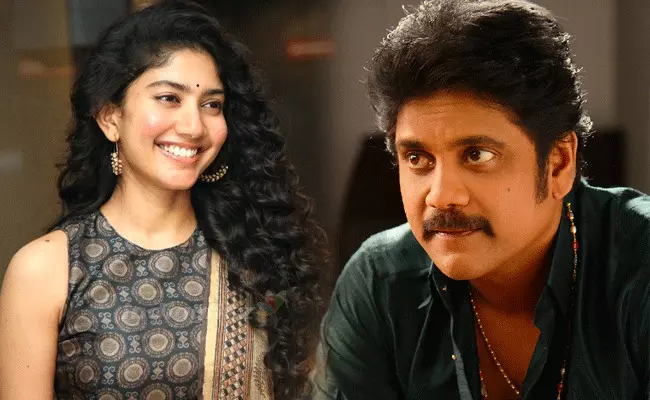 Sai Pallavi: నాగార్జున గత జన్మలో..: సాయిపల్లవి Sai Pallavi: నాగార్జున గత జన్మలో..: సాయిపల్లవి