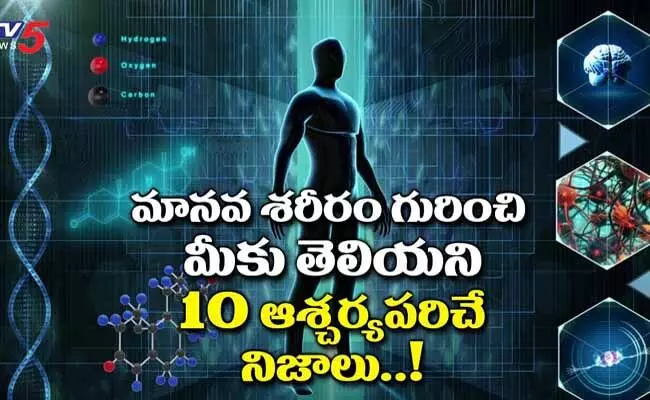 Human Body : మానవ శరీరంలో మనకి తెలియని ఎన్నో రహస్యాలు.. Human Body : మానవ శరీరంలో మనకి తెలియని ఎన్నో రహస్యాలు..