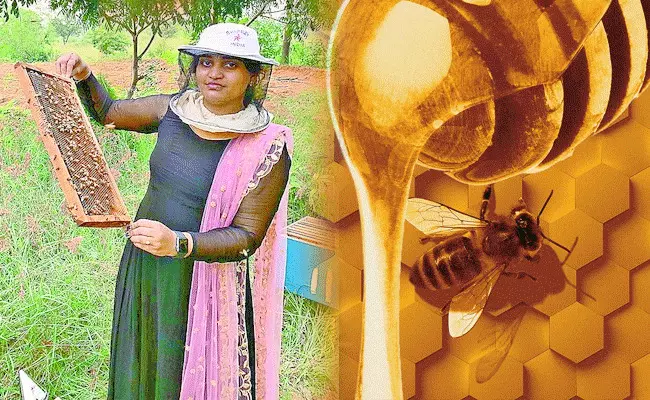 Jukooru Anusha: ఐటీ జాబ్ వదిలేసి తేనెటీగల పెంపకం.. లక్షల్లో సంపాదన.. Jukooru Anusha: ఐటీ జాబ్ వదిలేసి తేనెటీగల పెంపకం.. లక్షల్లో సంపాదన..