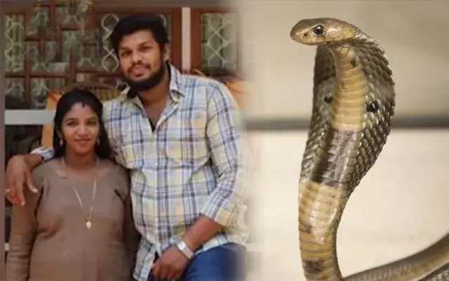 Uthra murder case : పాముకాటుతో భార్యను చంపిన భర్త.. కేరళ కోర్టు సంచలన తీర్పు..