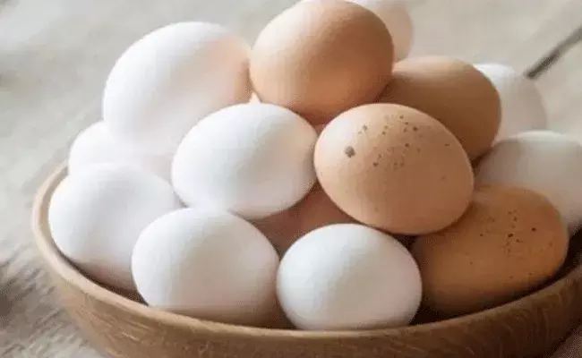 Eggs: గుడ్డుతో ఇవి కలిపి తింటున్నారా.. చాలా డేంజర్ సుమా!!