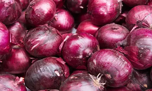 Onions: ద్యావుడా.. ఉల్లిపాయల్లో బాక్టీరియా.. అనారోగ్యంతో 650 మంది..
