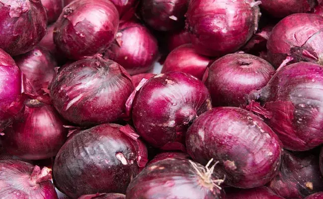 Onions: ద్యావుడా.. ఉల్లిపాయల్లో బాక్టీరియా.. అనారోగ్యంతో 650 మంది.. Onions: ద్యావుడా.. ఉల్లిపాయల్లో బాక్టీరియా.. అనారోగ్యంతో 650 మంది..