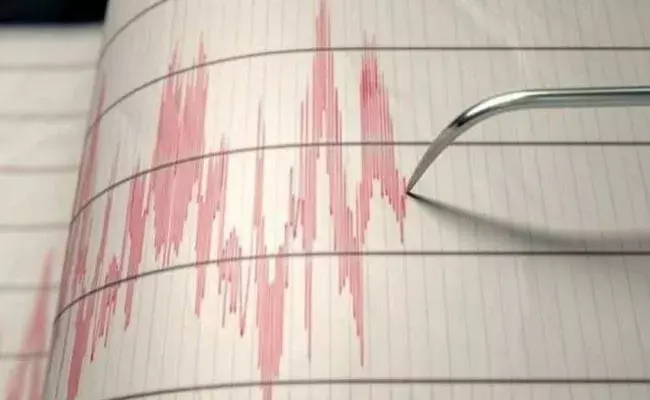 Earthquake in Telangana: తెలంగాణలోని ఈ జిల్లాల్లో భూప్రకంపనలు.. Earthquake in Telangana: తెలంగాణలోని ఈ జిల్లాల్లో భూప్రకంపనలు..