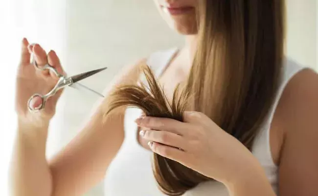Hair Care Tips (tv5news.in) Hair Care Tips (tv5news.in)