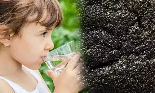 cow dung: ఫలించిన పరిశోధనలు.. ఆవుపేడతో తాగే నీళ్లు.. cow dung: ఫలించిన పరిశోధనలు.. ఆవుపేడతో తాగే నీళ్లు..