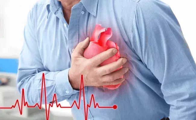Heart Attack: గుండెపై ఒత్తిడిని తగ్గించే పండు.. రోజుకు ఒకటి.. Heart Attack: గుండెపై ఒత్తిడిని తగ్గించే పండు.. రోజుకు ఒకటి..