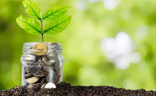 Provident Fund (tv5news.in) Provident Fund (tv5news.in)
