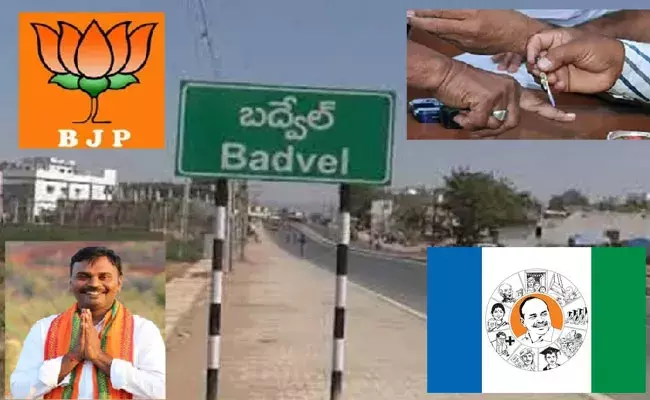 Badvel Bypoll (tv5news.in)
