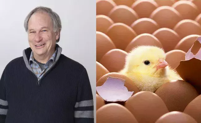 America: కోడి ముందా? గుడ్డు ముందా? సమాధానం కనిపెట్టేశాడు..