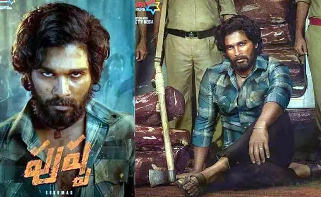 Pushpa Movie (tv5news.in) Pushpa Movie (tv5news.in)