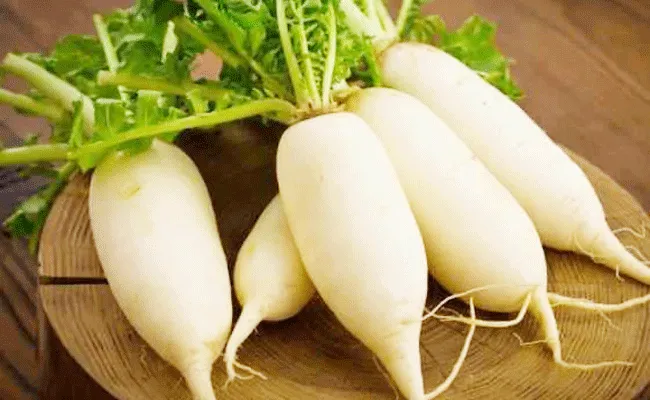 Radish health benefits: మధుమేహ రోగులు ముల్లంగి తింటే..