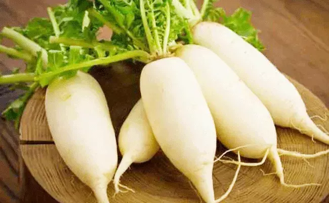 Radish health benefits: మధుమేహ రోగులు ముల్లంగి తింటే..