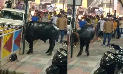 Sadar Festival (tv5news.in)