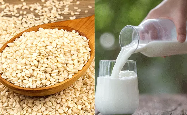 Milk Vs Sesame Seeds : పాలు vs నువ్వులు.. ఎందులో ఎక్కువ పోషకాలో తెలిస్తే.. Milk Vs Sesame Seeds : పాలు vs నువ్వులు.. ఎందులో ఎక్కువ పోషకాలో తెలిస్తే..