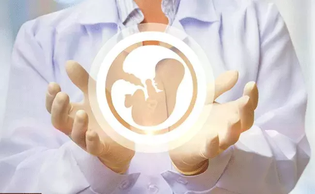 IVF: ఆస్పత్రి నిర్వాకం.. ఆమె మరొకరి బిడ్డకు జన్మనిచ్చింది..