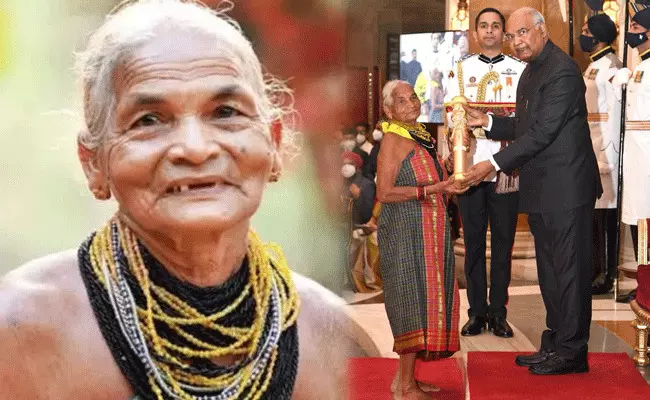Tulsi Gowda: అడవి బిడ్డ తులసిని వరించిన పద్మశ్రీ.. రాష్ట్రపతి చేతుల మీదుగా.. Tulsi Gowda: అడవి బిడ్డ తులసిని వరించిన పద్మశ్రీ.. రాష్ట్రపతి చేతుల మీదుగా..