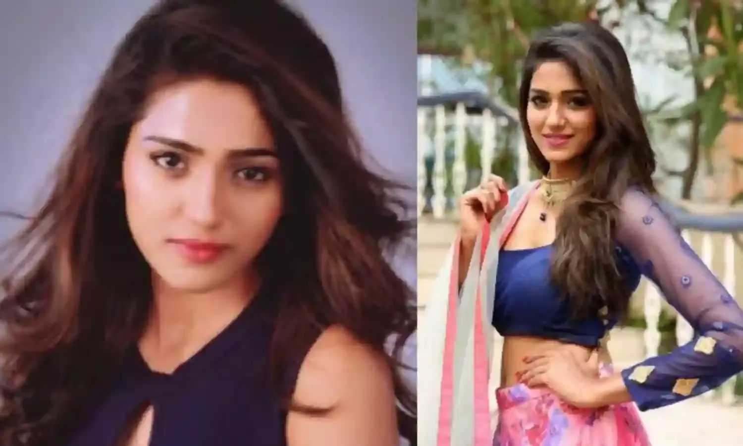 Shalu Chourasiya (tv5news.in) Shalu Chourasiya (tv5news.in)