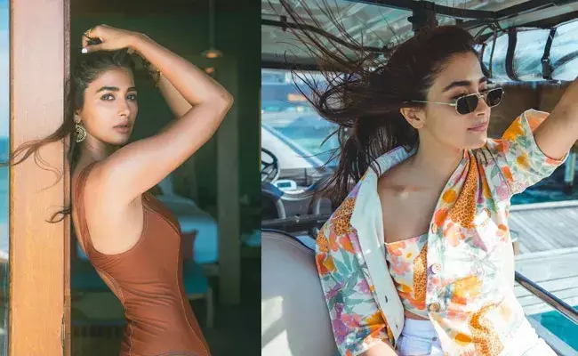 Pooja Hegde (tv5news.in) Pooja Hegde (tv5news.in)