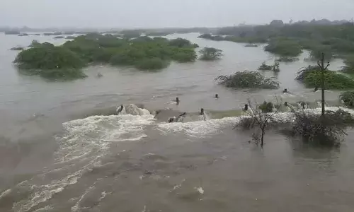 Penna River (tv5news.in)