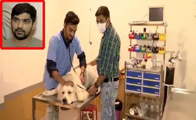 Ahmedabad: ప్రేమగా పెంచుకున్న కుక్కను కోల్పోయాడు.. అందుకే కుక్కల కోసం.. Ahmedabad: ప్రేమగా పెంచుకున్న కుక్కను కోల్పోయాడు.. అందుకే కుక్కల కోసం..