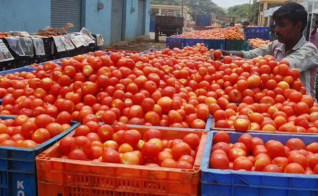 Tomato Price (tv5news.in)