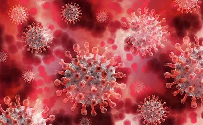 South Africa New Variant : దక్షిణాఫ్రికాలో వెలుగుచూసిన కొత్త వేరియంట్..! South Africa New Variant : దక్షిణాఫ్రికాలో వెలుగుచూసిన కొత్త వేరియంట్..!