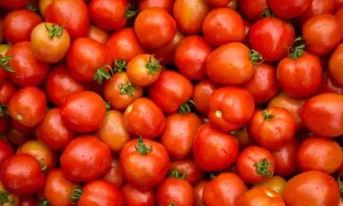 Tomato Price : హైదరాబాద్‌లో లీటరు పెట్రోల్ ధర, కేజీ టమాటా ధర ఒకటే..!
