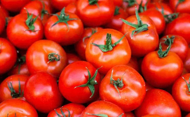 Tomato Price Hike: కన్నీళ్లు పెట్టిస్తున్న టమోటా ధరలు.. కాసేపు నవ్విస్తున్న టమోటా మీమ్స్