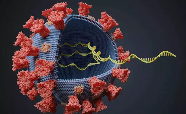 Covid New Variant (tv5news.in)