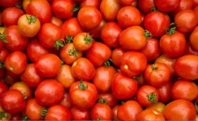 Tomato Price : హైదరాబాద్లో లీటరు పెట్రోల్ ధర, కేజీ టమాటా ధర ఒకటే..! Tomato Price : హైదరాబాద్లో లీటరు పెట్రోల్ ధర, కేజీ టమాటా ధర ఒకటే..!