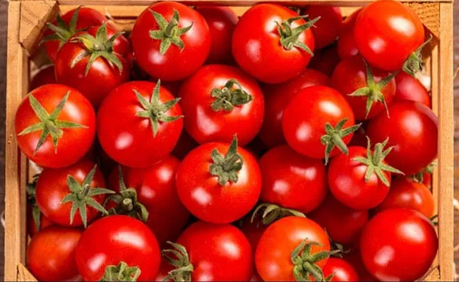 Tomato Price (tv5news.in)