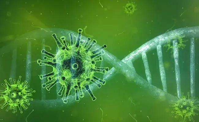 Omicron Variant: ఇండియాలోకి అడుగుపెట్టిన ఒమిక్రాన్‌ వేరియంట్? బెంగుళూరులో ఇద్దరిలో ఆ లక్షణాలు..