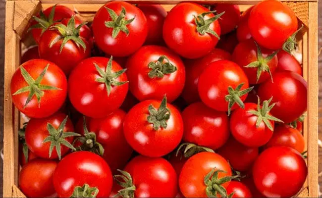 Tomato Price (tv5news.in) Tomato Price (tv5news.in)