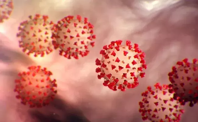 Omicron Variant (tv5news.in)