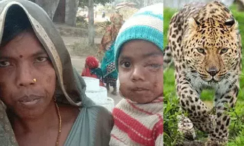 Madhya Pradesh: తల్లి ప్రేమ.. చిరుతపులితో పోరాడి కొడుకును..