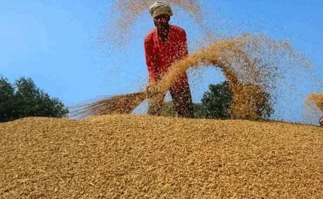 Telangana: తెలంగాణలో ధాన్యం సేకరణపై కేంద్రం అధికారిక ప్రకటన