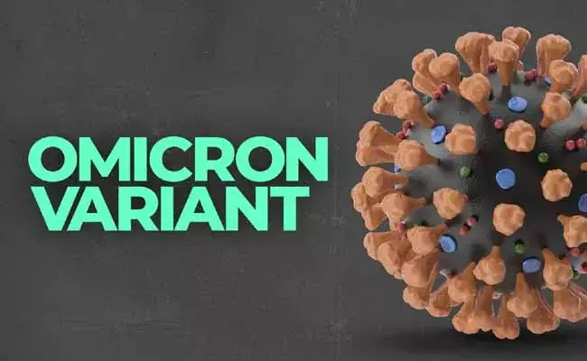 Karnataka : ఇండియాలో వెలుగుచూసిన రెండు ఒమిక్రాన్ వేరియంట్ కేసులు.. కర్ణాటకలో ఇద్దరికి పాజిటివ్..!