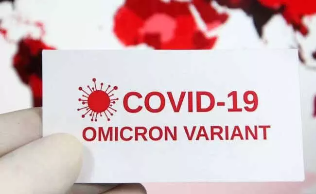 Omicron Covid Variant : ఒమిక్రాన్ పుట్టుకపై ఆసక్తికర విషయాలు Omicron Covid Variant : ఒమిక్రాన్ పుట్టుకపై ఆసక్తికర విషయాలు