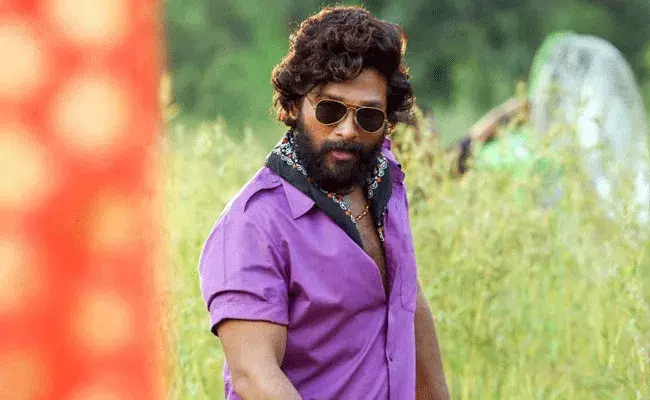 Pushpa Movie (tv5news.in)