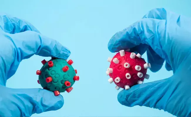 Omicron Variant (tv5news.in)