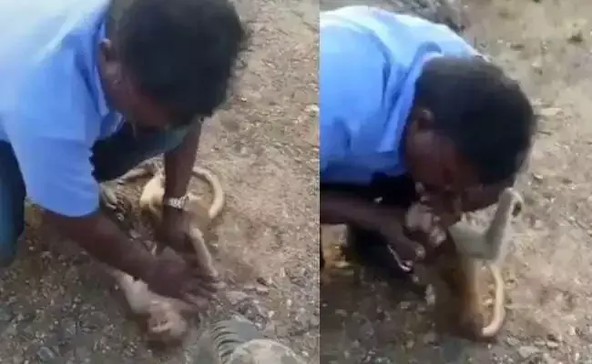 Tamil Nadu: కోతిని కాపాడాలని చాలా ప్రయత్నించాడు.. కానీ చివరికి..